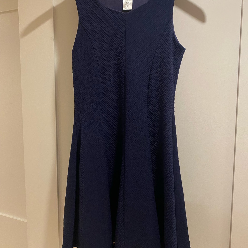 Sally Miller Navy Sleeveless Dress